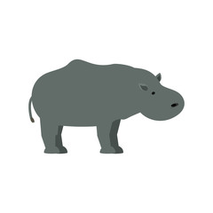 hippopotamus vector illustration