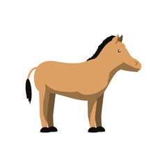 horse  vector illustration