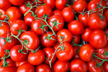 red tomatoes background Group of tomatoes
