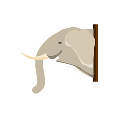 animal trophy  vector illustration