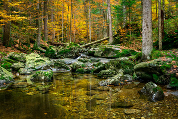 Fluss bei den Risslochwasserfällen im Bayerischen Wald im Herbst