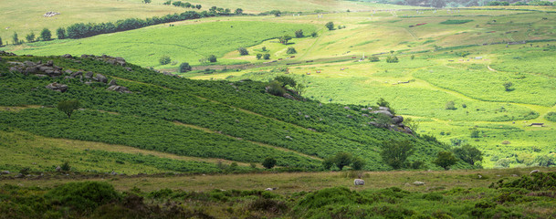 Fototapeta na wymiar Panorama of the Dartmoor National Park. Near the Heytor. A training racetrack is visible. Devon. England