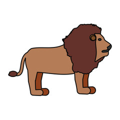 lion vector illustration