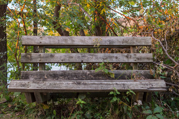 Naklejka premium A weathered park bench in surrounded by trees