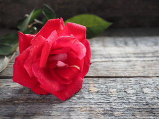 Romantic background with red rose on wood table