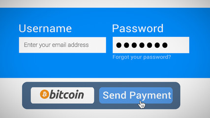 send payment with bitcoin button, digital payment for international money transfers illustration