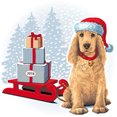 Dog Sitting In Santa Hat Next To Gift