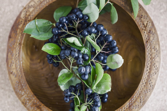 Aronia in wooden bowl