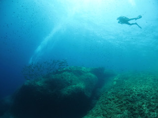 Fototapeta premium Scuba Diving Malta