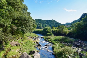 Fototapeta na wymiar Scenic View of Countryside Scenery in Japan