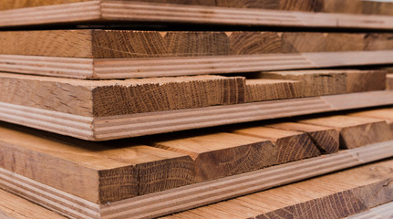 Wooden background and texture with different breeds