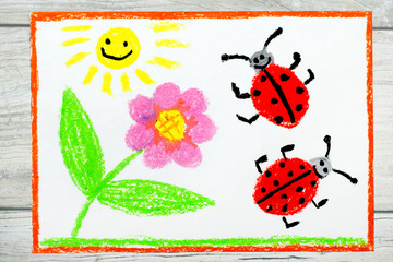 Photo of colorful drawing: flower, sun and ladybugs on white paper background