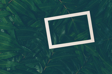 Creative layout made of green leaves with white frame. Top view, flat lay.