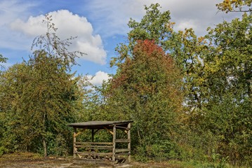 Опушка лиственного леса с деревянной постройкой