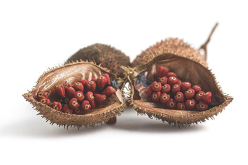 Brazilian Urucum Annatto Seeds