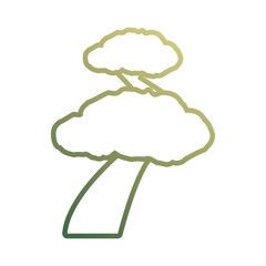 flat line colored  tree over white background  vector illustration