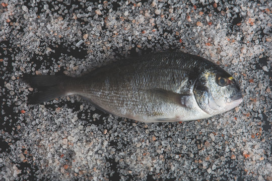 Food: raw fish on Himalayan salt