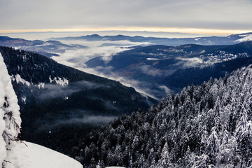 View down from a snow covered Hohneck meadow, Vosges. With a fir tree forest in the foreground and...