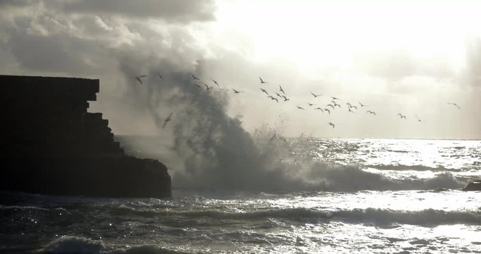 Slow motion shot of sea-gulls flying over the rough sea at the stone walls of ancient city Acre, Israel