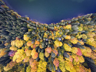 Fototapeta na wymiar Aerial view of a lake and forest in autumn