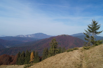 View from the Baiului Mountains (1700m-1800m), Azuga, Prahova, Romania (Muntii Baiului)