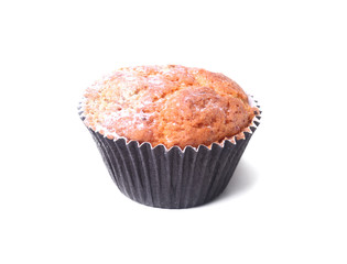 Homemade Blueberry muffins with powdered sugar and fresh berries.