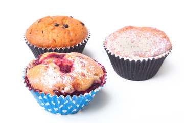 Homemade Blueberry and chocolate muffins with powdered sugar and fresh berries.
