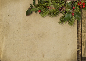Vintage Christmas card. Tree branch and holly on grunge paper © VV