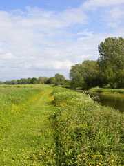 Obraz premium towpath and woodland