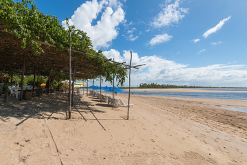 Tropical Beach - Vacation Concept