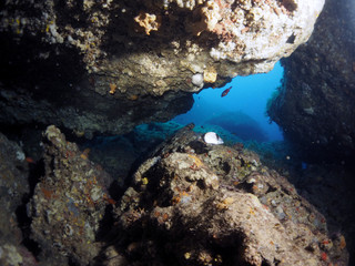 Scuba Diving Malta
