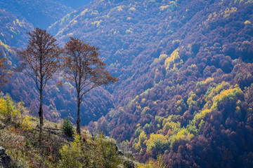Fototapeta na wymiar Colorful autumn landscape on a mountain