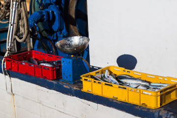 Fish being sold from the side of a trawler