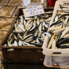 Crates of fish stacked up