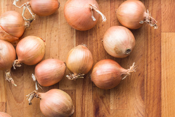 Fresh onion bulbs.