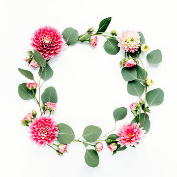 Wreath of eucalyptus and roses, dahlia, isolated on white background. Texture and background. Art. Green wreath.