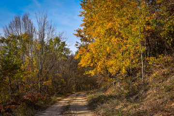 Colorful autumn landscape on a mountain
