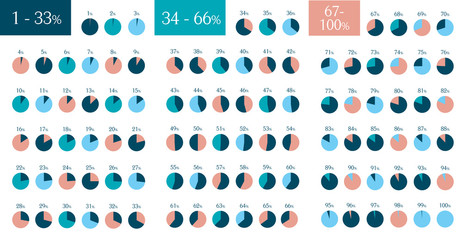 Mega Set of infographic percentage circle pie charts. 1 % to 100 %. Vector isolated elements.
