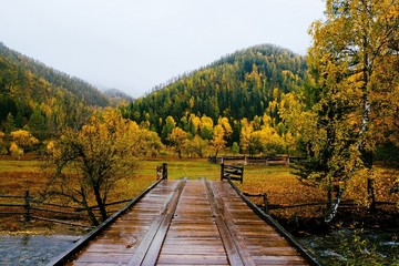 Fototapeta na wymiar Autumn in the mountains. Beautiful mountain scenery. Autumn mood.