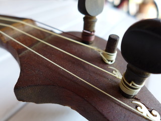 banjo headstock tuning pegs wooden