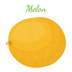 Yellow ripe melon. Organic fresh fruit. Cartoon flat style. Vector