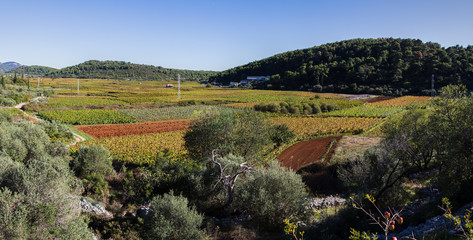 Fototapety na wymiar - Fototapeta24.pl