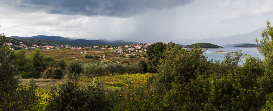 Grk vineyards panorama