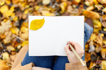 Writing hand, blank space note in autumn park. To do list, goals, inspiration concept. Creative date