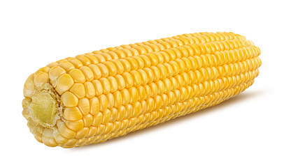 Fresh corn isolated on white background with clipping path