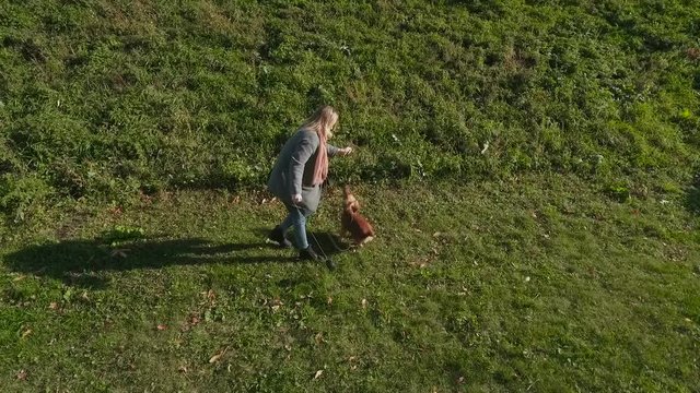 The girl plays with dog outdoors on green grass