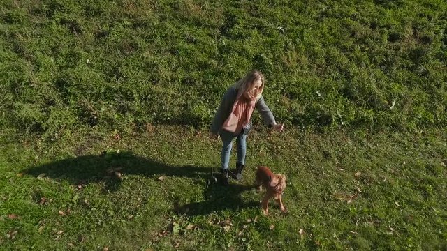 Playful dog with his owner outdoors on grass