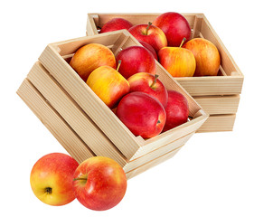 Box of fresh apple isolated on white background with clipping path