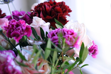 Background of beautiful spring flowers. Close-up