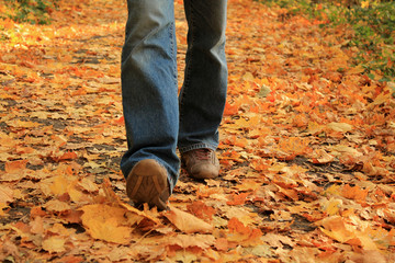 Human legs walking on yellow fallen leaves in autumn.